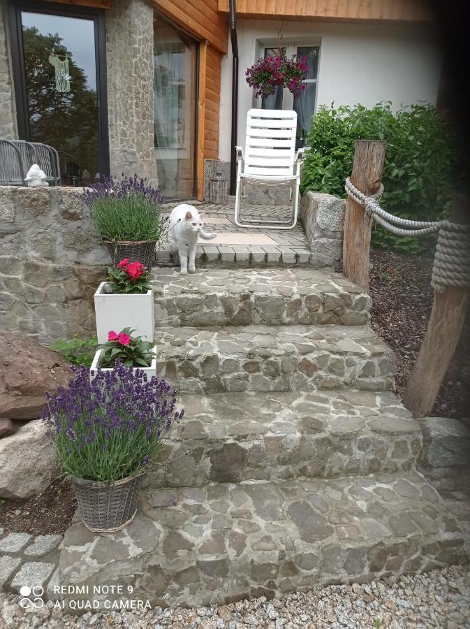 Apartamenty Sokolec Ludwikowice Klodzkie Luaran gambar