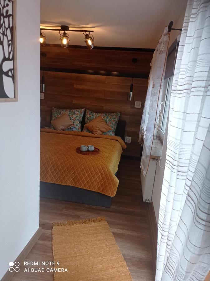 Apartamenty Sokolec Ludwikowice Klodzkie Luaran gambar