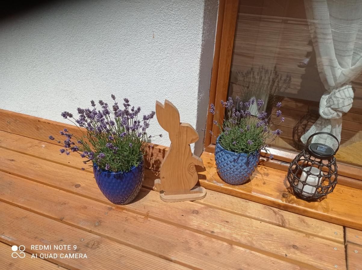 Apartamenty Sokolec Ludwikowice Klodzkie Luaran gambar