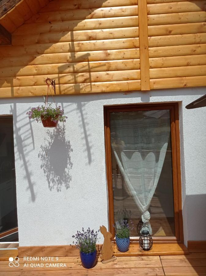 Apartamenty Sokolec Ludwikowice Klodzkie Luaran gambar